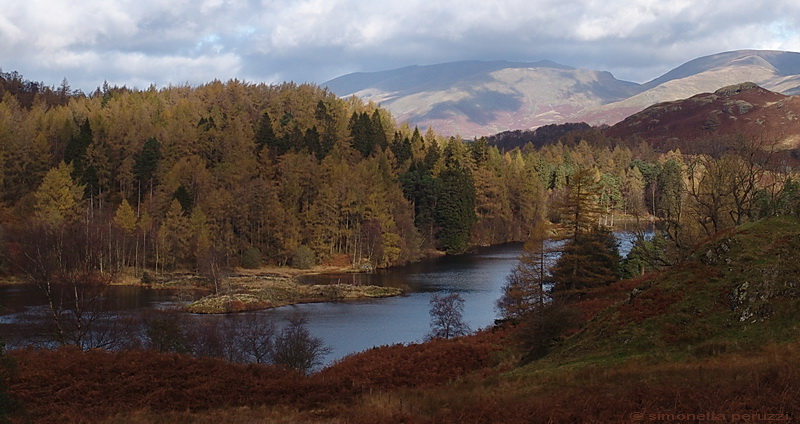 Escursione in Cumbria e Northumberland - UK